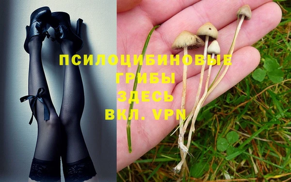 твердый Протвино