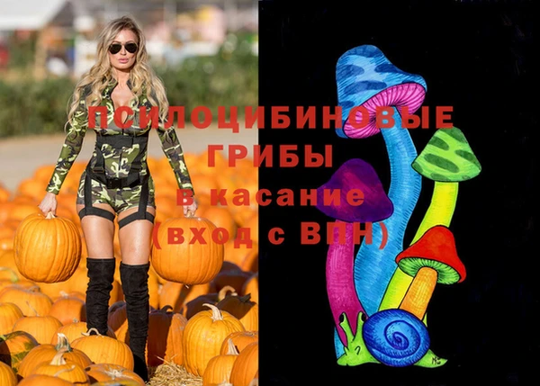 гашишное масло Заводоуковск