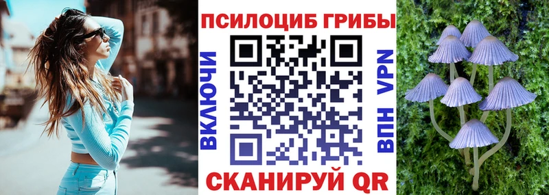 Псилоцибиновые грибы Magic Shrooms закладки Калач