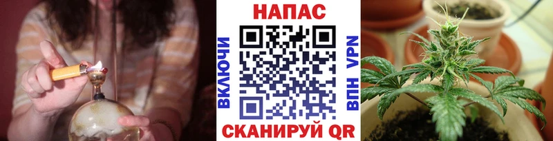 Бошки марихуана ГИДРОПОН  блэк спрут зеркало  Калач 